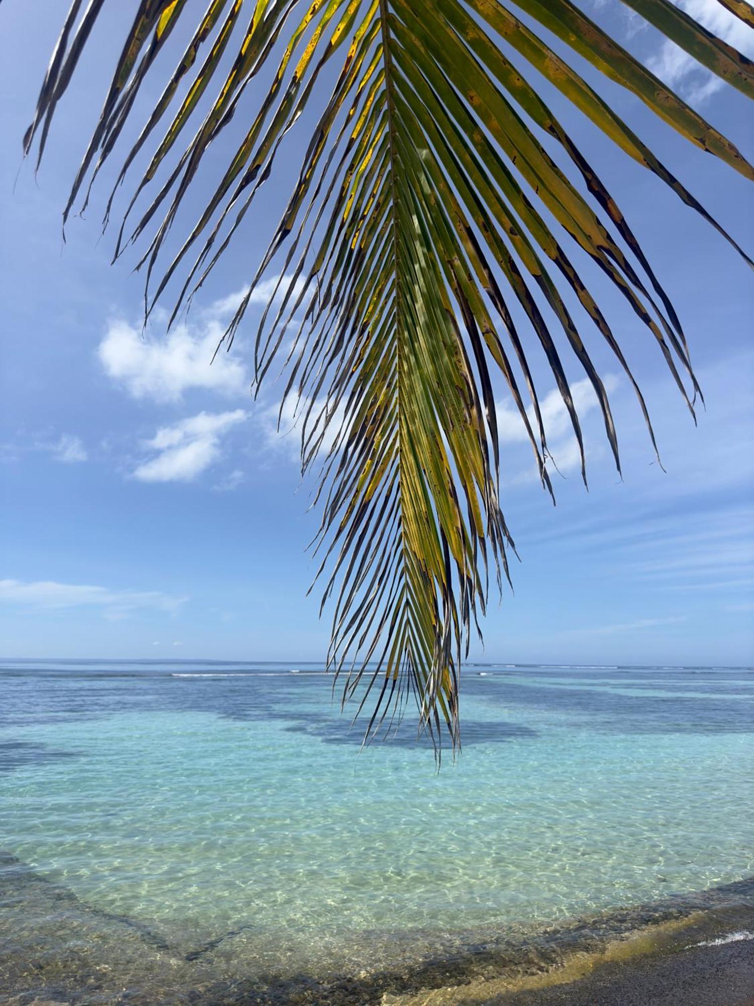 Unique : Pieds Dans L'Eau Face Au Lagon Sainte-Anne (Grande-Terre) Exterior foto