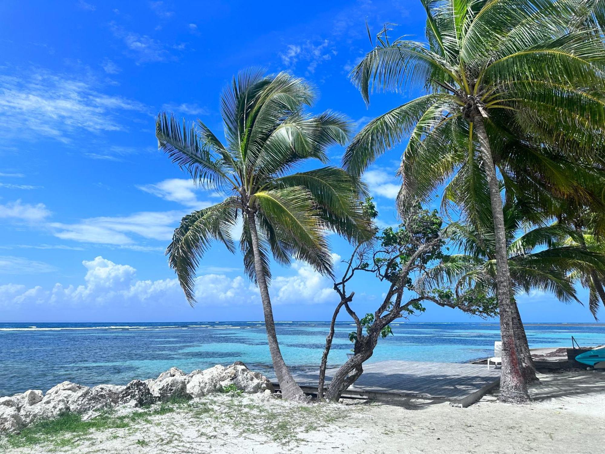 Unique : Pieds Dans L'Eau Face Au Lagon Sainte-Anne (Grande-Terre) Exterior foto